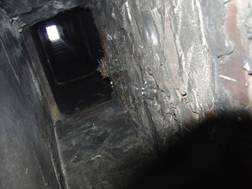 photo of chimney swift nest